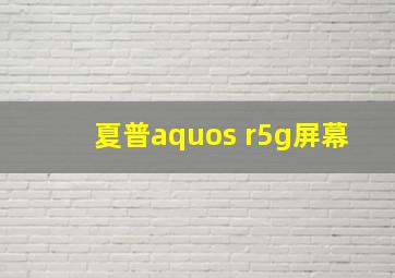 夏普aquos r5g屏幕